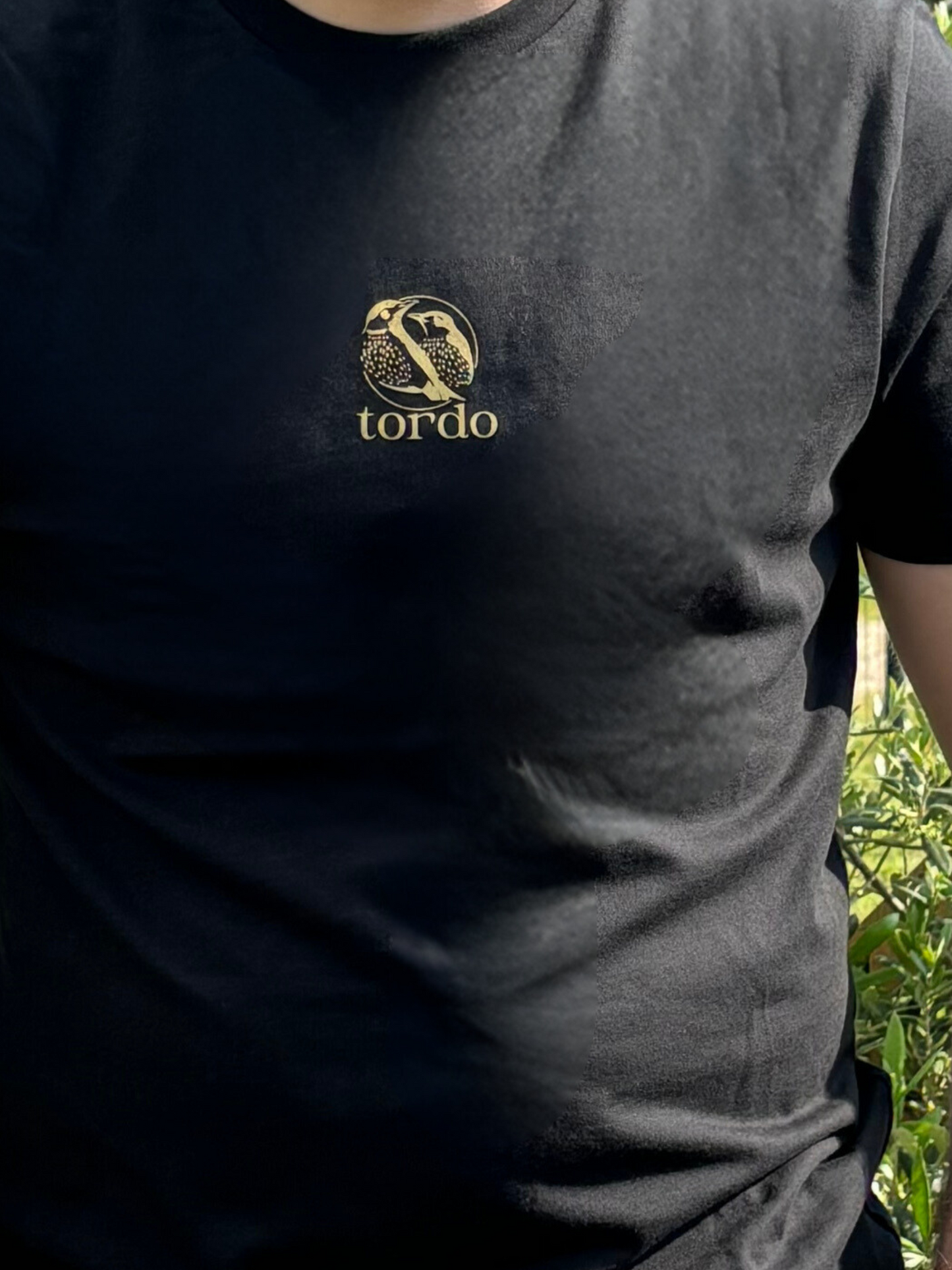 Tee-Shirt Tordo - Noir