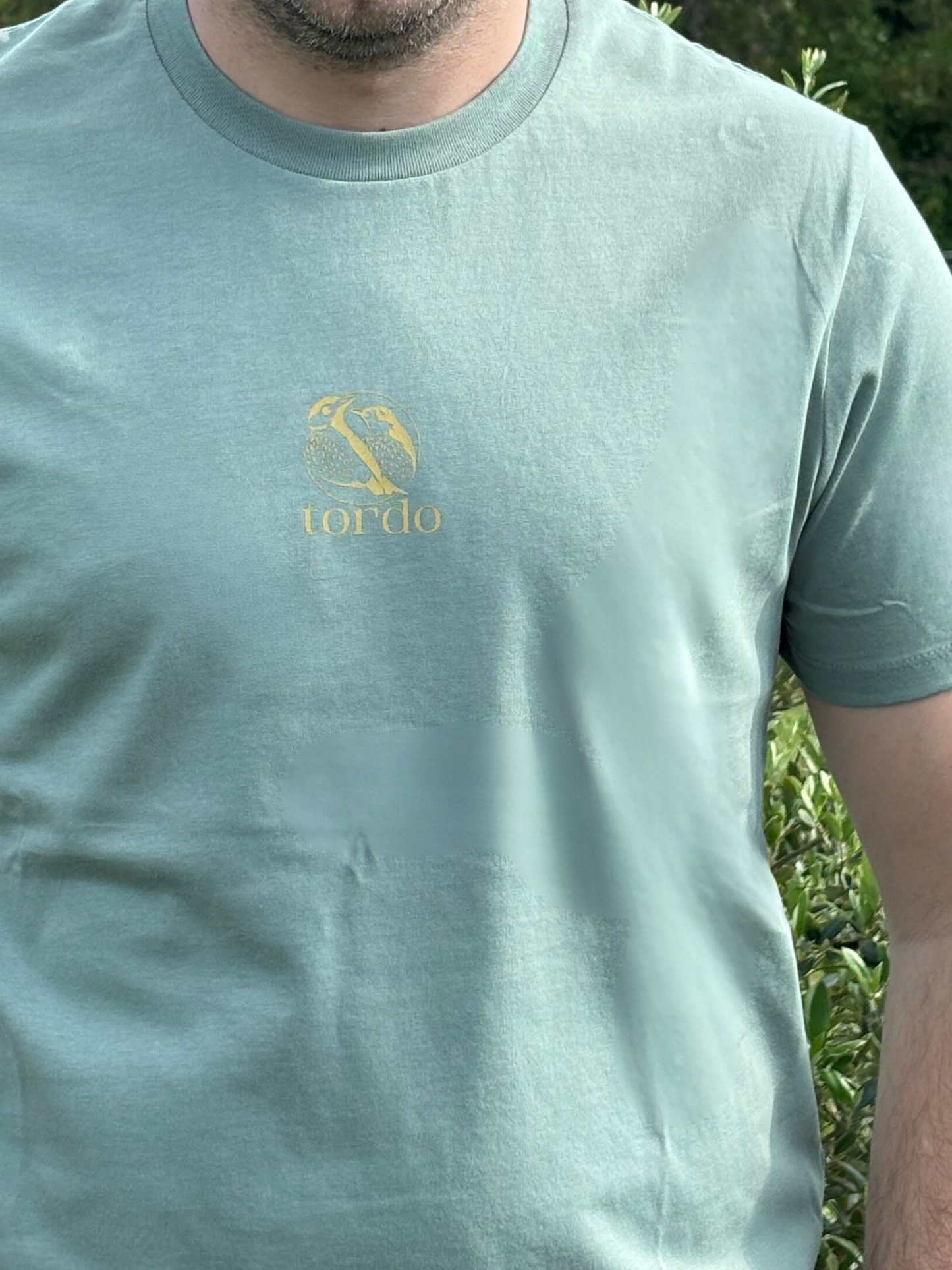 Tee-Shirt Tordo - Vert Mousse