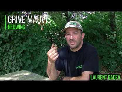 Appeau Grive Mauvis PRO CONCEPT - HELEN BAUD